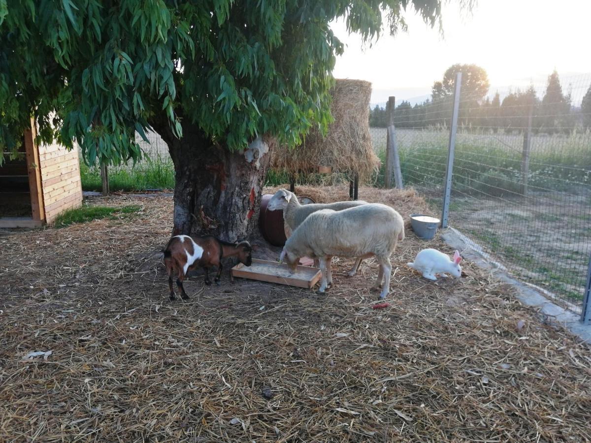 Agriturismo Terralieta Roseto Degli Abruzzi Ngoại thất bức ảnh